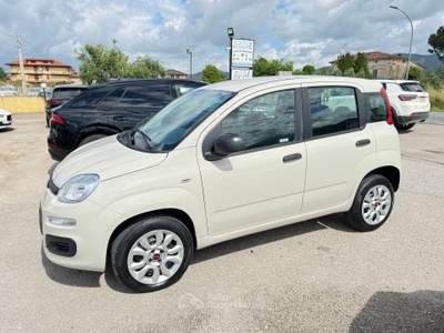 Fiat Panda PERFETTA ADATTA NEOPATENTATI Grigio usata ROCCASECCA