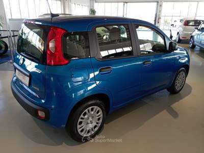 Fiat Panda 1.0 FireFly S&S Hybrid Icon Blu/Azzurro usata Riva presso Chieri