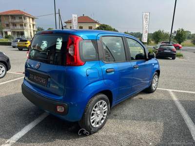 Fiat Panda Panda 1.0 FireFly S&S Hybrid *PROMO* Blu/Azzurro usata Villanova Canavese