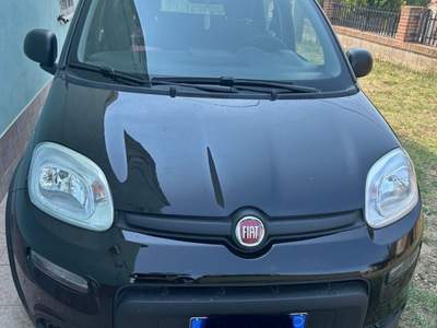 Fiat Panda Usata Nero usata Roccaspinalveti