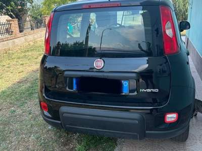 Fiat Panda Usata Nero usata Roccaspinalveti