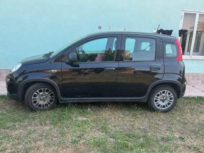 Fiat Panda Usata Nero usata Roccaspinalveti