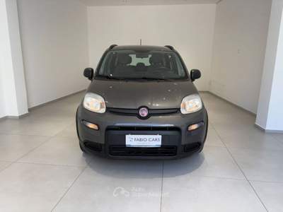 Fiat Panda 1.0 firefly hybrid City Life s&s 70cv 5p.ti Grigio usata Caltagirone