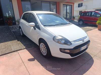 Fiat Punto Punto Evo 1.2 5 porte Active usata PIGNATARO INTERAMNA