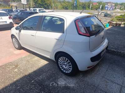 Fiat Punto Punto Evo 1.2 5 porte Active usata PIGNATARO INTERAMNA