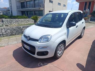 Fiat Panda Panda 1.3 MJT Van EASY 4 posti (N1) usata PIGNATARO INTERAMNA
