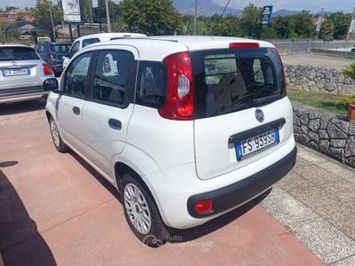Fiat Panda Panda 1.3 MJT Van EASY 4 posti (N1) usata PIGNATARO INTERAMNA