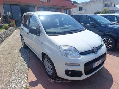 Fiat Panda Panda 1.3 MJT Van EASY 4 posti (N1) usata PIGNATARO INTERAMNA