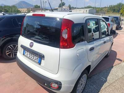 Fiat Panda Panda 1.3 MJT Van EASY 4 posti (N1) usata PIGNATARO INTERAMNA