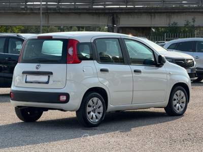 Fiat Panda 1.0 IBRIDA Bianco usata San Salvatore Telesino
