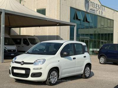 Fiat Panda 1.0 IBRIDA Bianco usata San Salvatore Telesino