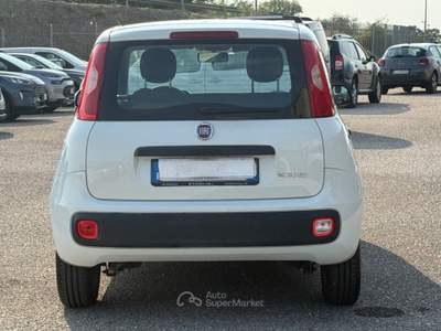 Fiat Panda 1.0 IBRIDA Bianco usata San Salvatore Telesino