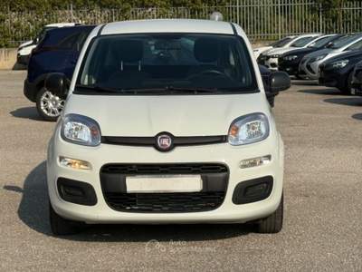 Fiat Panda 1.0 IBRIDA Bianco usata San Salvatore Telesino