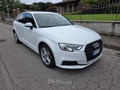 Audi A3 SPB 1.6 TDI 116 CV Business Bianco usata Alfianello