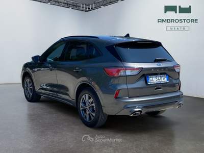 Ford Kuga  - kuga 2.5 phev st-line 2wd 225cv cvt Grigio usata Segrate