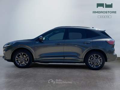 Ford Kuga  - kuga 2.5 phev st-line 2wd 225cv cvt Grigio usata Segrate