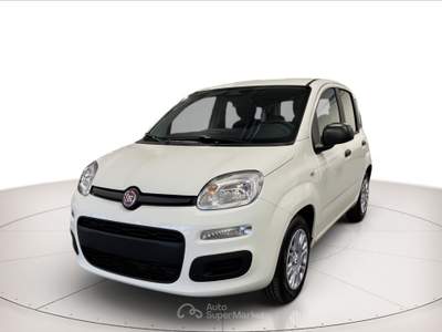 Fiat Panda 1.0 hybrid 70cv Bianco usata Rovigo