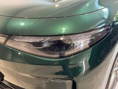 Leapmotor C10 Reev hybrid design Verde usata Verona