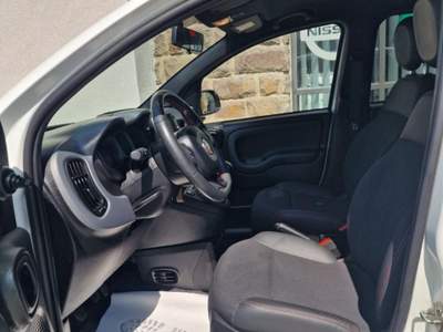 Fiat Panda 1.0 FireFly S&S Hybrid Sport Bianco usata Levico Terme