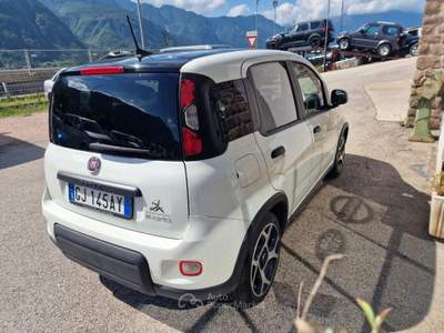 Fiat Panda 1.0 FireFly S&S Hybrid Sport Bianco usata Levico Terme
