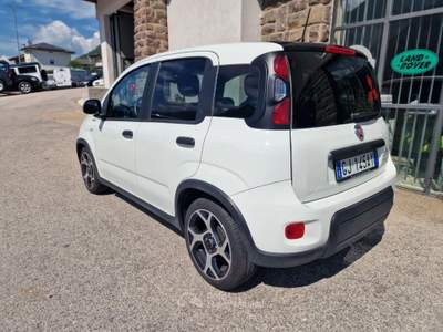 Fiat Panda 1.0 FireFly S&S Hybrid Sport Bianco usata Levico Terme