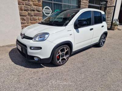 Fiat Panda 1.0 FireFly S&S Hybrid Sport Bianco usata Levico Terme