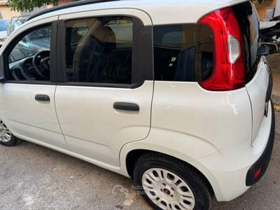 Fiat Panda fiat panda Bianco usata San Vitaliano