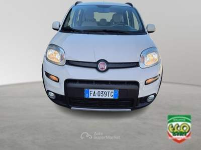 Fiat Panda 0.9 TwinAir Turbo S&S 4x4 GPL Beige usata Cassino