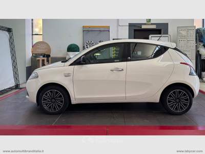 Lancia Ypsilon Ypsilon 1.2 69 CV 5p. GPL Ecochic Gold Bianco usata Venezia