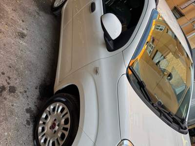 Fiat Panda fiat panda 1.3 multijet Bianco usata San Vitaliano