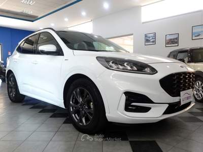 Ford Kuga 1.5 EcoBlue 120 CV POWERSHIFT ST LINE Bianco usata Carlentini