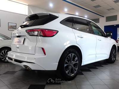 Ford Kuga 1.5 EcoBlue 120 CV POWERSHIFT ST LINE Bianco usata Carlentini