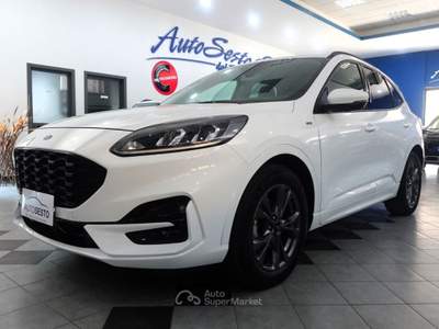 Ford Kuga 1.5 EcoBlue 120 CV POWERSHIFT ST LINE Bianco usata Carlentini
