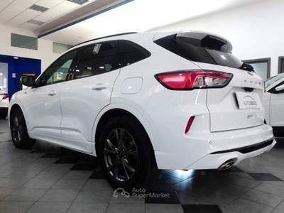 Ford Kuga 1.5 EcoBlue 120 CV POWERSHIFT ST LINE Bianco usata Carlentini