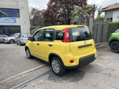 Fiat Panda Panda 1.0 FireFly S&S Hybrid Pop Giallo usata Bisuschio