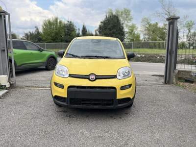Fiat Panda Panda 1.0 FireFly S&S Hybrid Pop Giallo usata Bisuschio