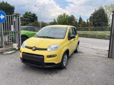 Fiat Panda Panda 1.0 FireFly S&S Hybrid Pop Giallo usata Bisuschio