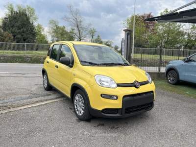 Fiat Panda Panda 1.0 FireFly S&S Hybrid Pop Giallo usata Bisuschio