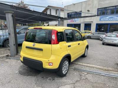 Fiat Panda Panda 1.0 FireFly S&S Hybrid Pop Giallo usata Bisuschio