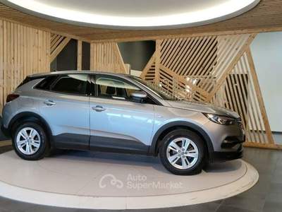 Opel Grandland X 1.5 ecotec Business Edition s&s 130cv at8 usata Lamezia Terme