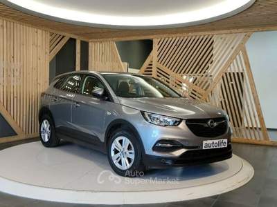 Opel Grandland X 1.5 ecotec Business Edition s&s 130cv at8 usata Lamezia Terme