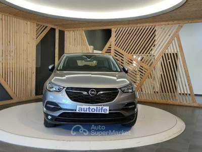 Opel Grandland X 1.5 ecotec Business Edition s&s 130cv at8 usata Lamezia Terme
