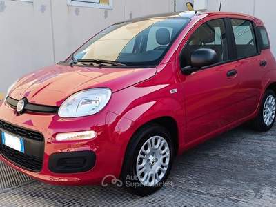 Fiat Panda Panda Rosso usata Modugno