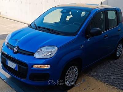 Fiat Panda Panda Blu/Azzurro usata Modugno