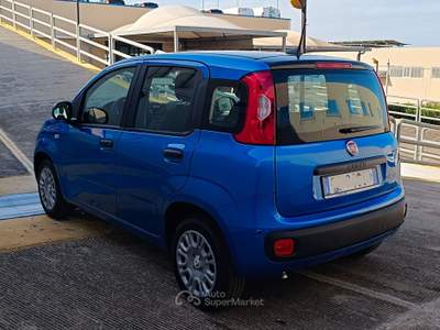 Fiat Panda Panda Blu/Azzurro usata Modugno