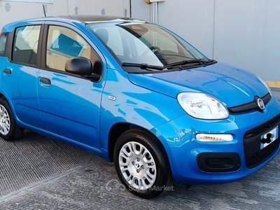 Fiat Panda Panda Blu/Azzurro usata Modugno