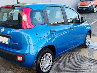 Fiat Panda Panda Blu/Azzurro usata Modugno
