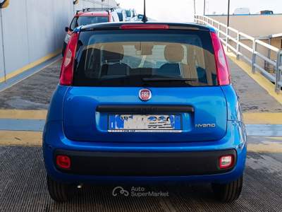 Fiat Panda Panda Blu/Azzurro usata Modugno