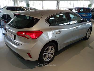 Ford Focus 1.5 EcoBlue 95 CV 5p. Plus Argento usata Riva presso Chieri