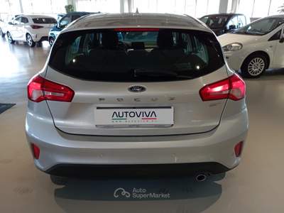 Ford Focus 1.5 EcoBlue 95 CV 5p. Plus Argento usata Riva presso Chieri